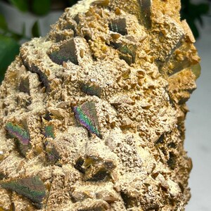 May include: A close-up of a brown and gold iridescent mineral specimen with a rough, textured surface. The mineral has a crystalline structure with many small, sharp points.