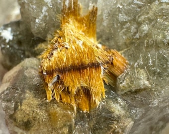 ブラジル、ミナスジェライス州ディアマンティーナ産ルチルクォーツ