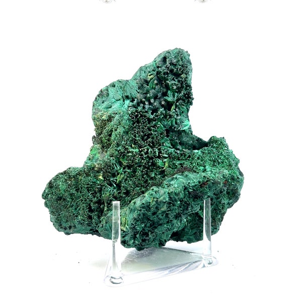 Stunning Silky Malachite: LGC Large Cabinet Size 4.75in/552g from Kasompe, Congo