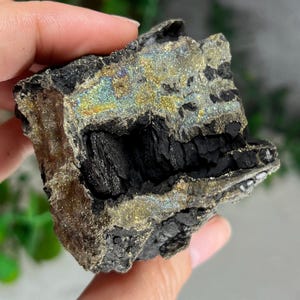 Permineralized Fossilized Wood w/ Rainbow Marcasite: SMC Small Cabinet Size 2.6in/172g from West Anatolian, Turkey
