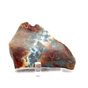 Mosagaatplaat uit Bali, Indonesië: kastgrootte 4 inch / 135 g