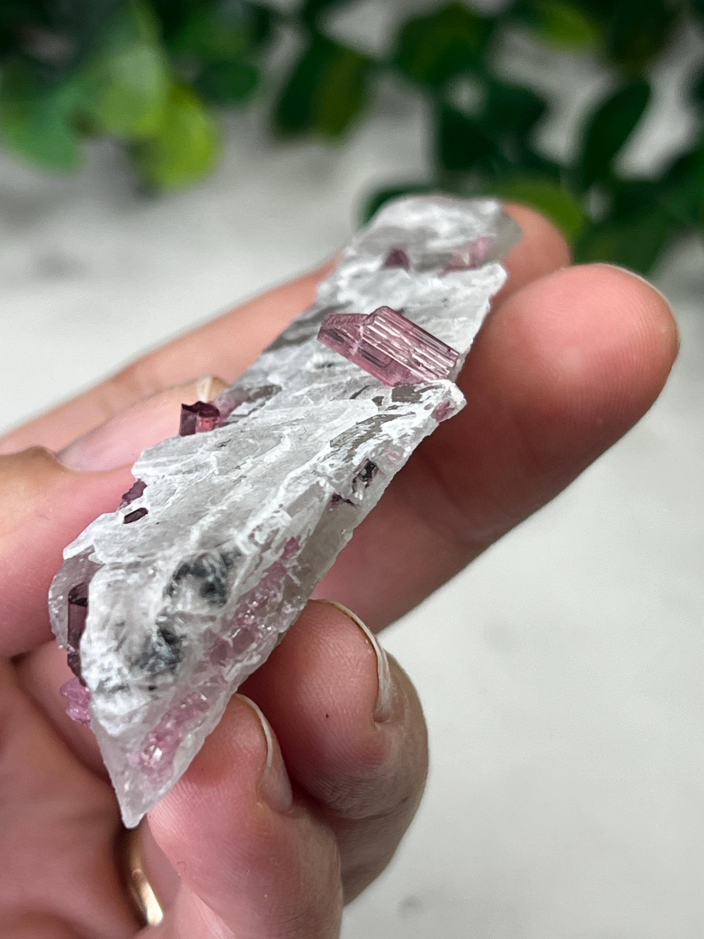 ブラジル、ミナスジェライス産のマルチカラー ピンク ルベライト