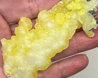 Brucite from Killa Saifullah, Baluchistan, Pakistan, SMC Small Cabinet, 3in, 20g