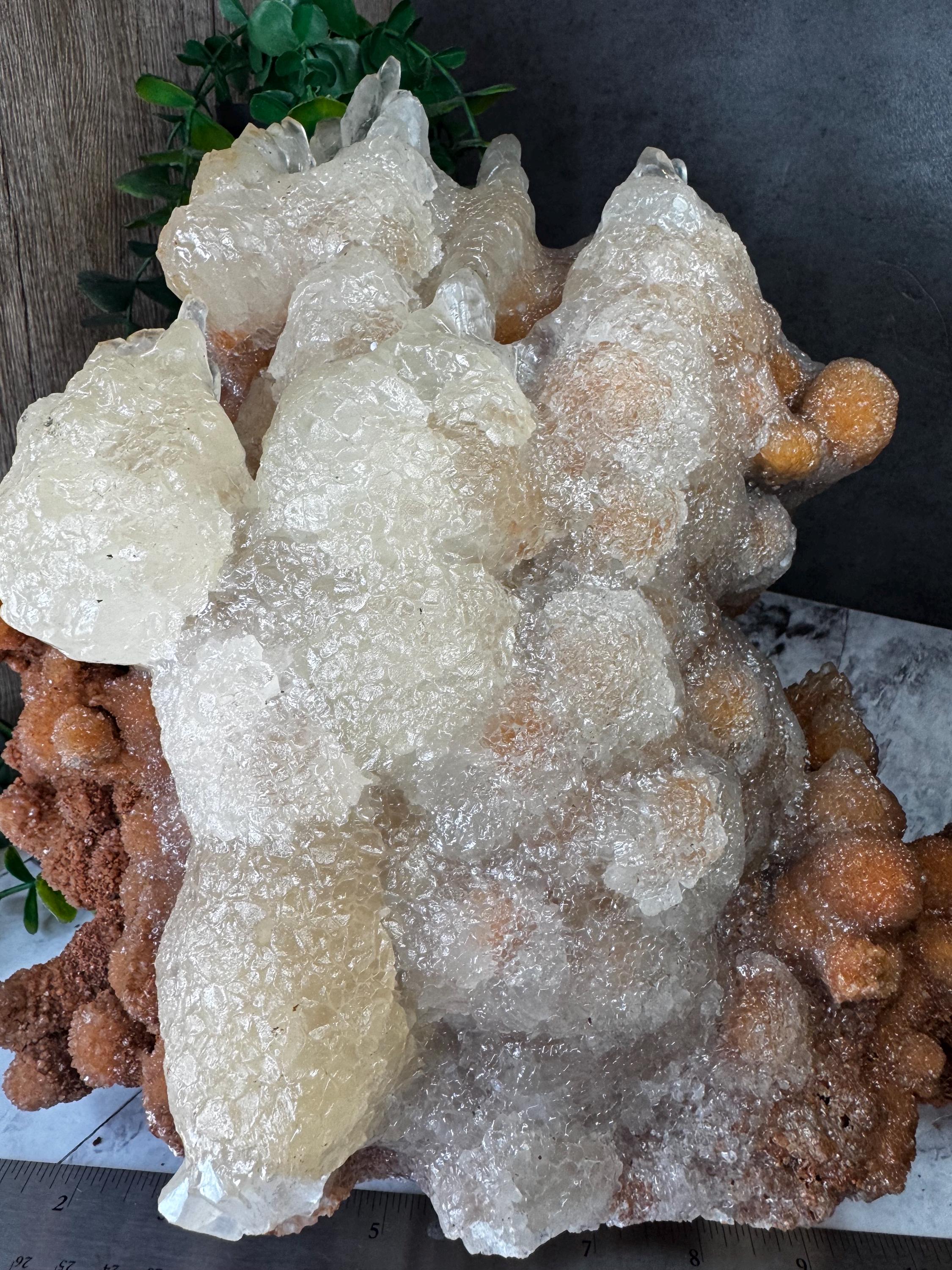 インドネシア、西ジャワ産の洞窟方解石: XLC 特大キャビネットサイズ