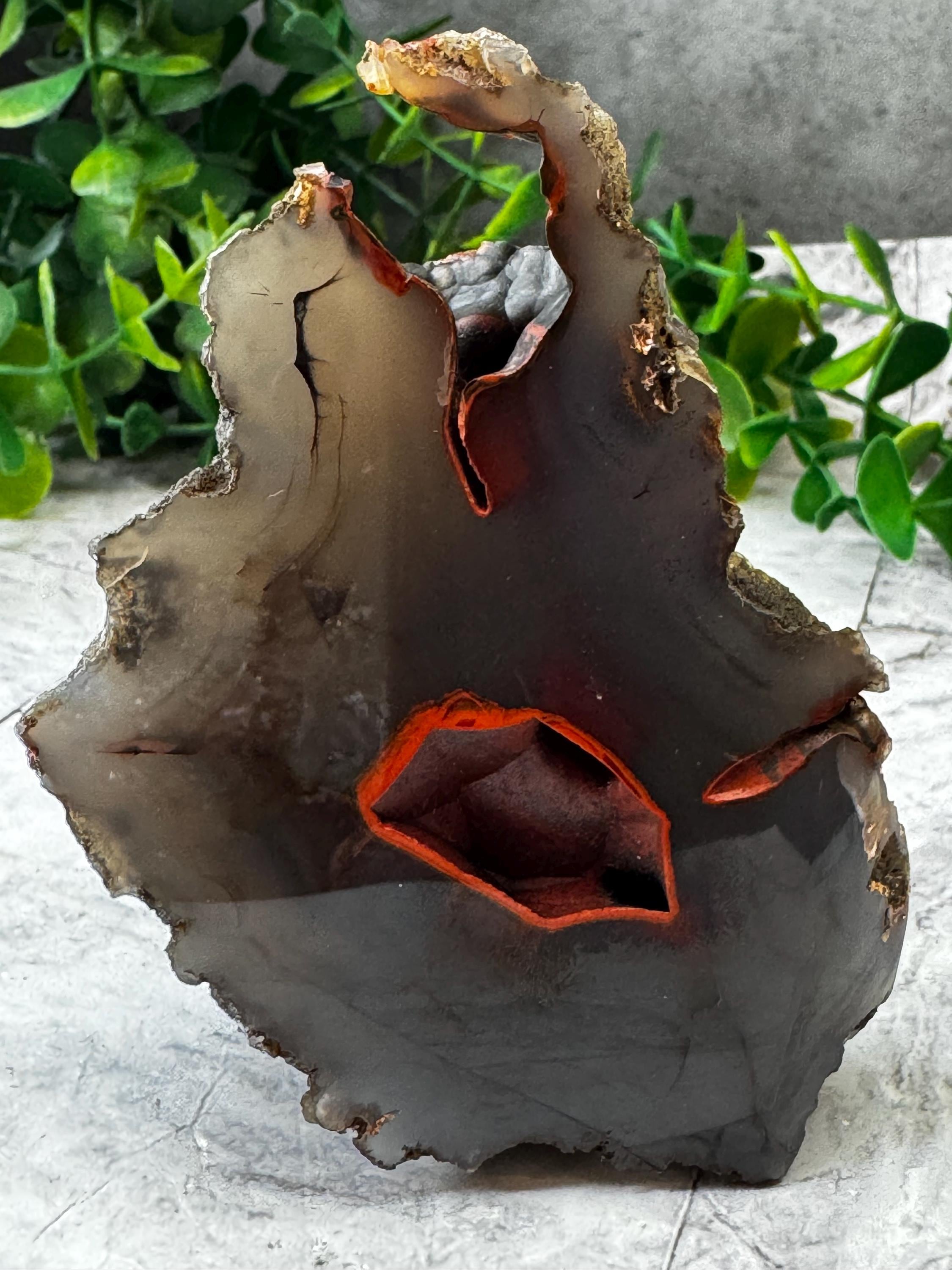 Red Fox Agate (UV) From Patagonia, Argentina: CAB Cabinet Size 3.8