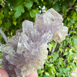 Rare Phantom Amethyst from Minas Gerais, Brazil Cabinet Size 3in/76g