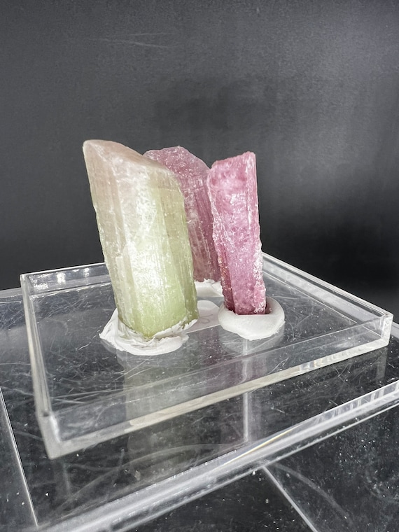 【巨大】バイカラートルマリン　ブラジル ミナスジェライス州産　電気石　原石　天然石　鉱物　標本　宝石質　アクリル土台付き　No.101 限定セール，定番人気