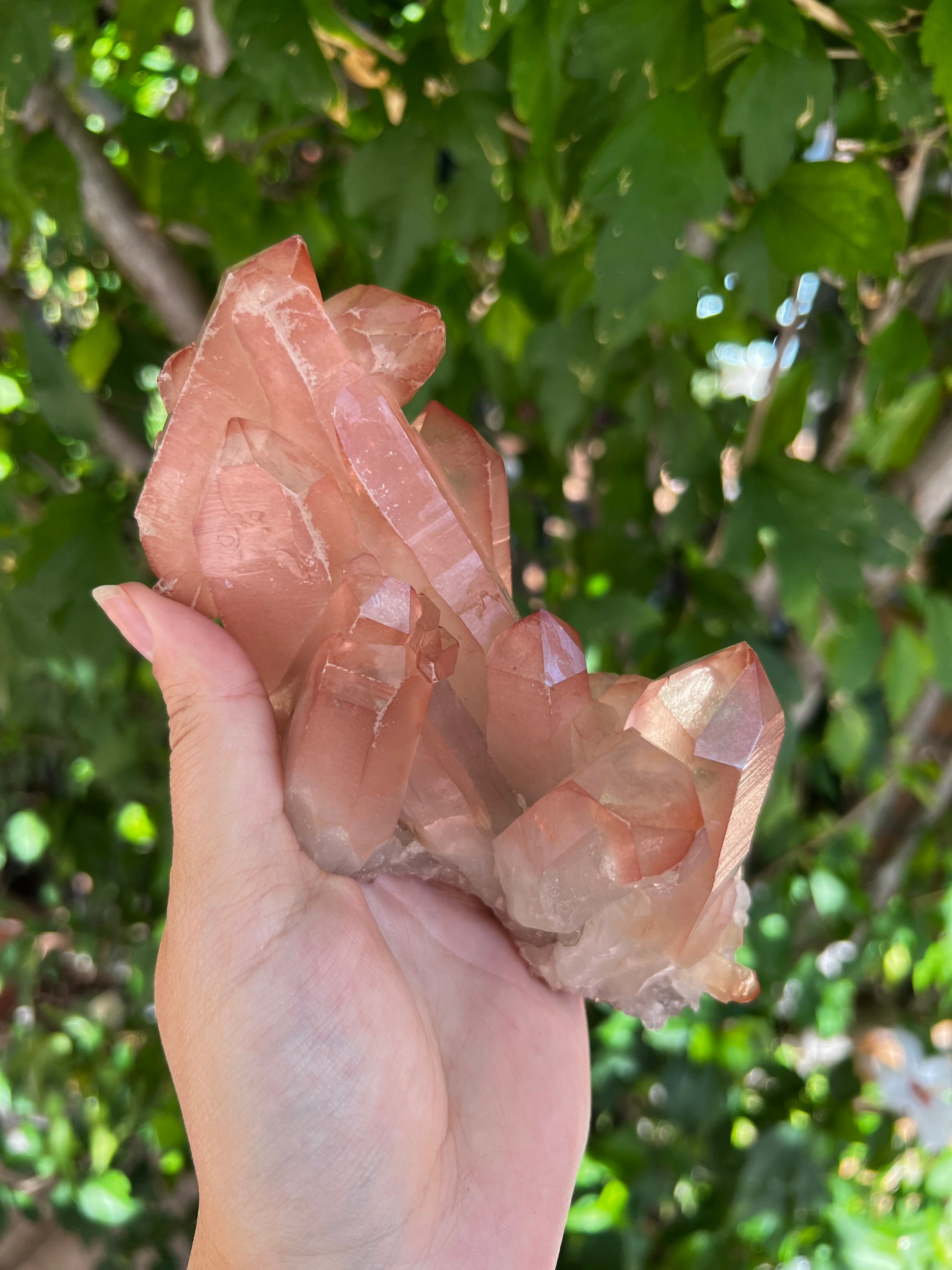 ♡ピンクレムリアン　桜色　クラスター♡　ご確認用 希少なピンク色のレムリアンクォーツクラスター：セラ・ド・カブラル産