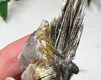 ブラジル産ヘマタイトのゴールデンルチル、SMCスモールキャビネット2