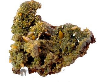 Yellow-Orange Wulfenite w/ Minetite from San Juan Poniente Vein, Mina La Ojueta, Mexico, SMC Small Cabinet, 2.25in, 70g