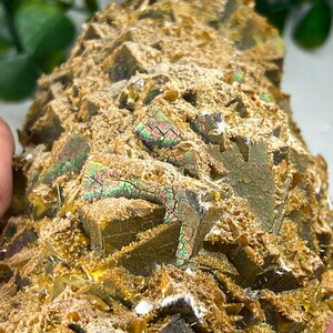 May include: A cluster of iridescent pyrite crystals with a golden brown color. The crystals are clustered together in a rough, natural formation.