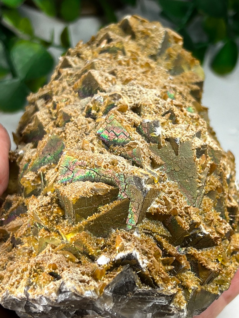 May include: A cluster of iridescent pyrite crystals with a golden brown color. The crystals are clustered together in a rough, natural formation.