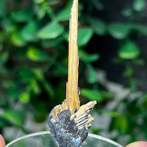 Golden Rutile on Hematite from Brazil, MIN Miniature 2in.