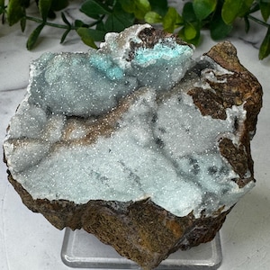 Druzy Dolomite, Malachite and Chrysocolla, Likasi, Congo: CAB Cabinet Size 4in/490g