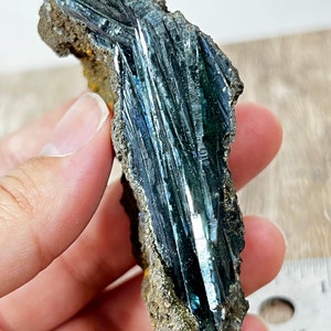 Vivianite from Brazil: SMC Small Cabinet Size, 3.2in,