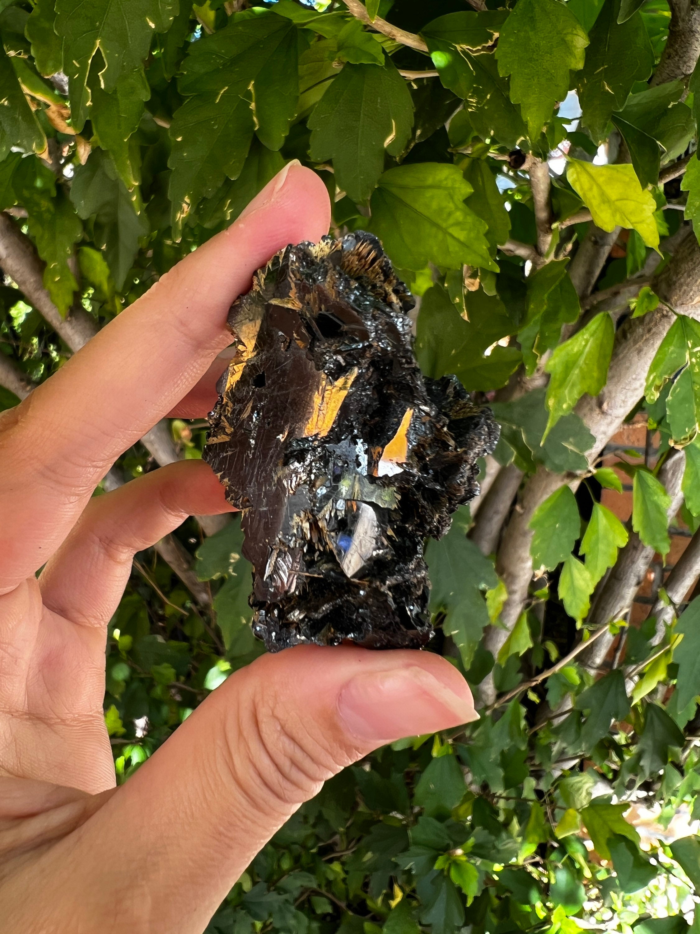 ブラジル産ヘマタイト上のゴールデンルチル、最小ミニチュアサイズ 2