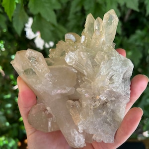 Stunning, Rare Zeca de Souza Quartz Cluster, Corinto, Minas Gerais, Brazil LGC Large Cabinet 682g
