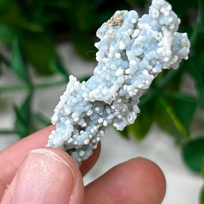Chalcedony Geode - Etsy