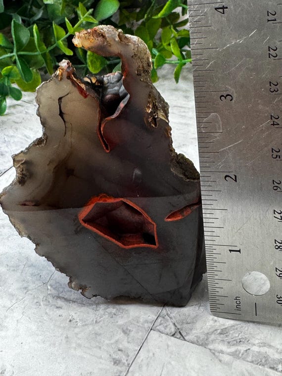 Red Fox Agate (UV) From Patagonia, Argentina: CAB Cabinet Size 3.8