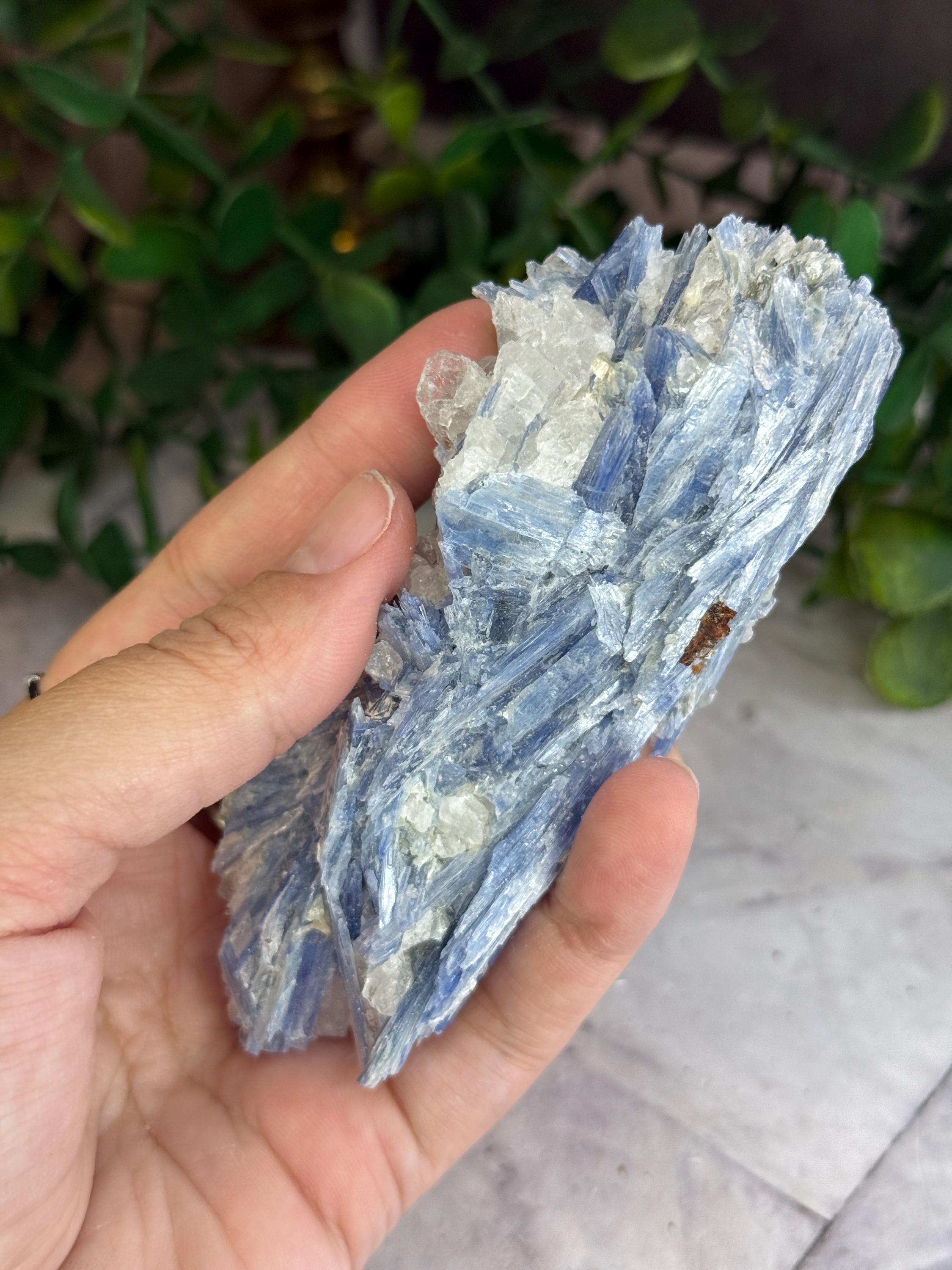 ブラジル、ミナスジェライス産のブルーカイヤナイト、クォーツ