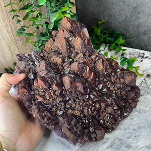 May include: A large cluster of amethyst crystals with a deep purple hue and a reddish-brown tint. The crystals are clustered together in a rough, natural formation.