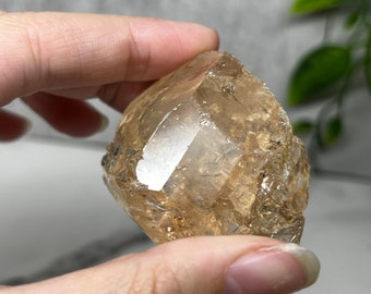 Golden Topaz from Skardu, Pakistan: SMC Small Cabinet Size 2.1in/102g/510ct
