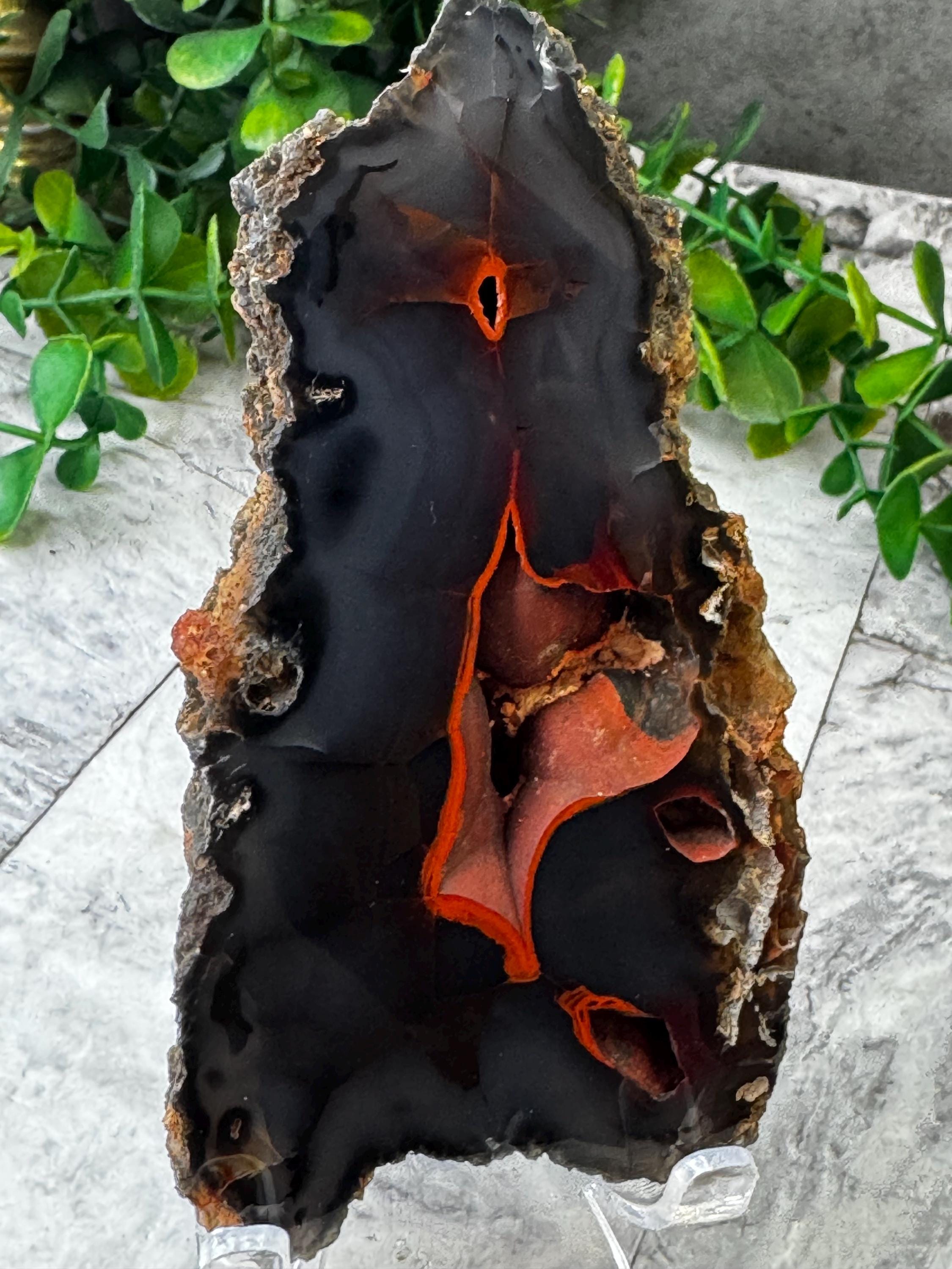 アルゼンチン、パタゴニア産レッドフォックスアゲート（UV