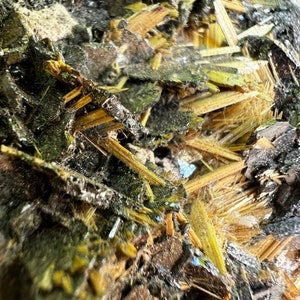 Golden Rutile on Hematite from Brazil, SMC Small Cabinet Size 2.75in / 181g