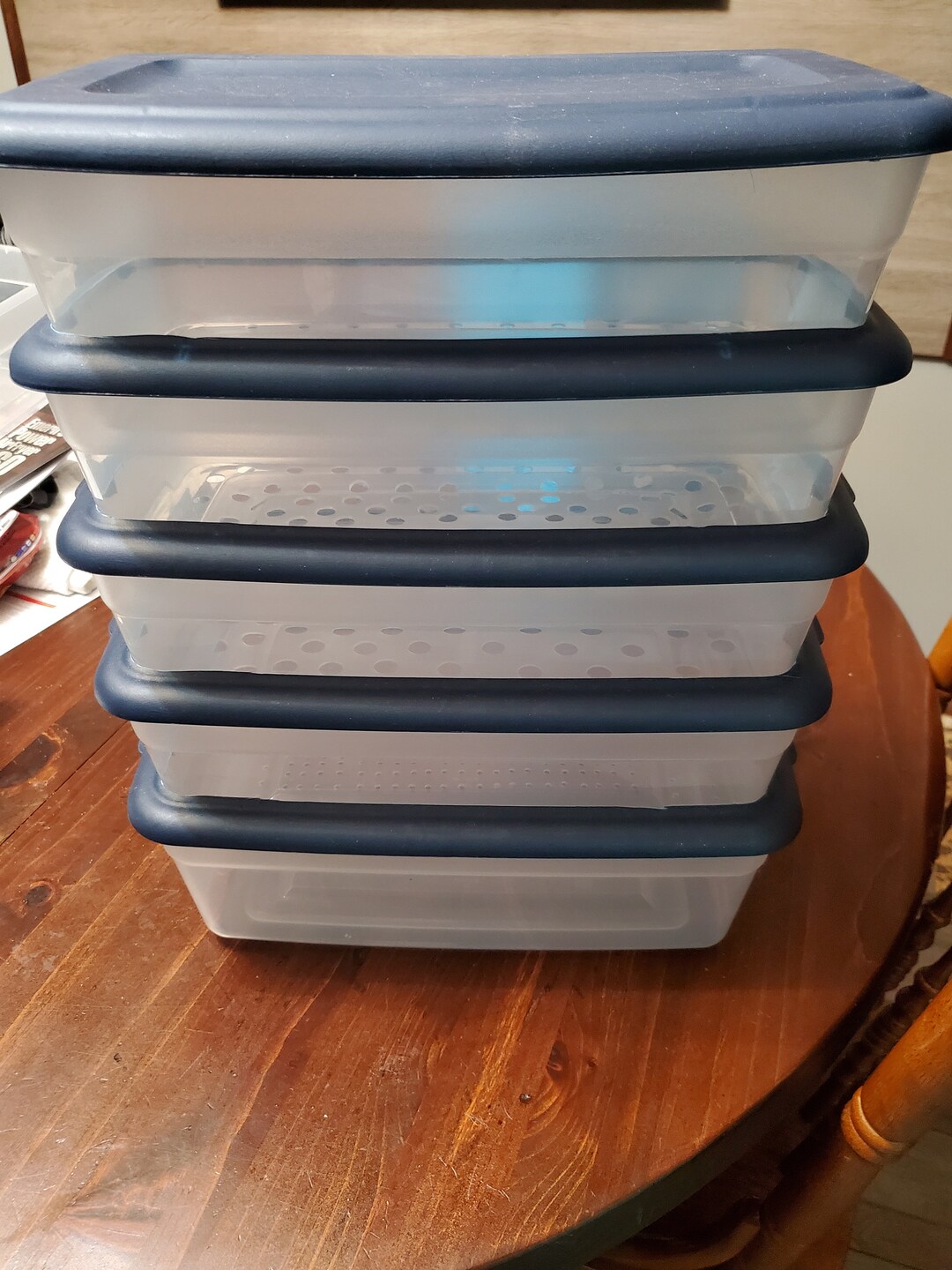 Roach Sorter Totes size in Description Etsy