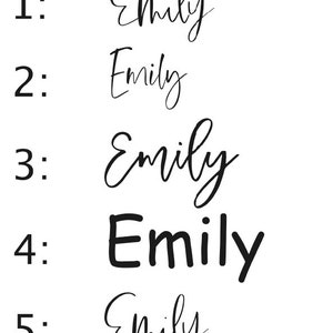 Pode incluir: Cinco vers&otilde;es manuscritas diferentes do nome "Emily" em tinta preta sobre um fundo branco.