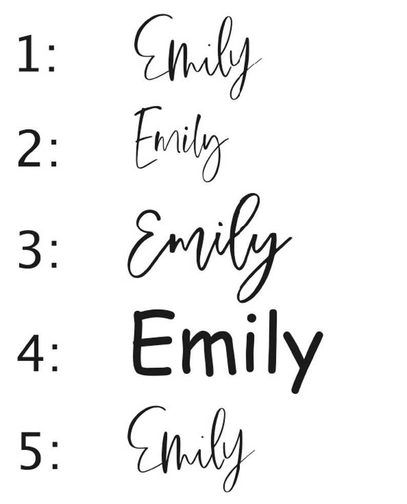 Pode incluir: Cinco vers&otilde;es manuscritas diferentes do nome "Emily" em tinta preta sobre um fundo branco.