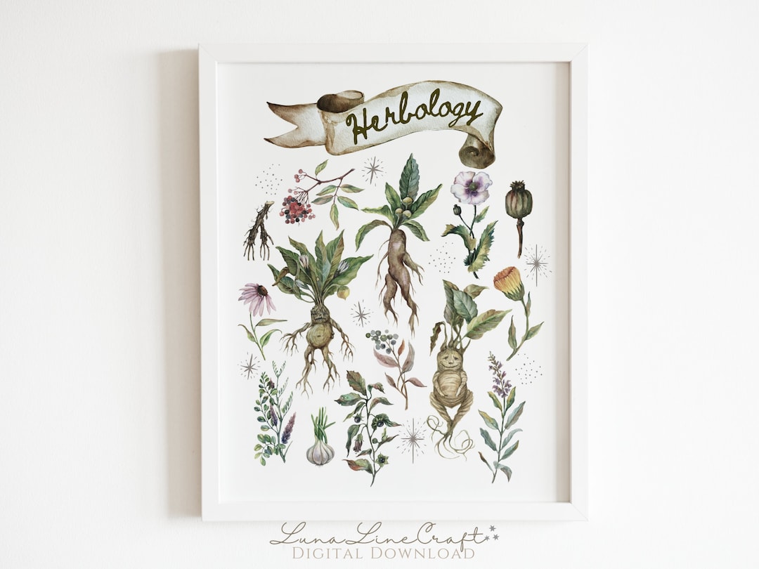 Herbology Medicinal Plant Chart Magic Botanical Watercolor Printable