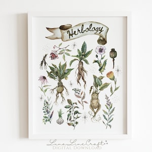 Kräuterkunde Heilpflanzentafel | Magische botanische Aquarell druckbare Wandkunst | Zauberhaftes Küchendekor | Digitaler Download