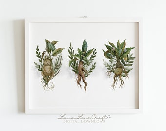 Three Mandrakes Plant Herbology Print | Magic Botanical Watercolor Printable Wall Art | Whimsical Wizarding Kitchen Decor | Digital Download