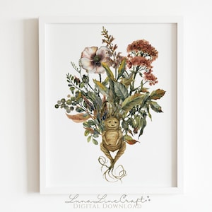 Alraune Pflanzen Druck | Zauberhafte Kräuterkunde Aquarell druckbare Wandkunst | Cottagecore Zauberer Blumen Dekor | Digitaler Download