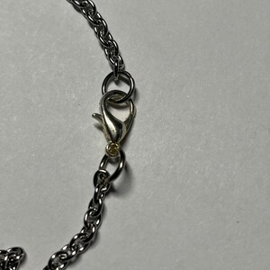 Pu&ograve; includere: Una catena d'argento con chiusura a moschettone.