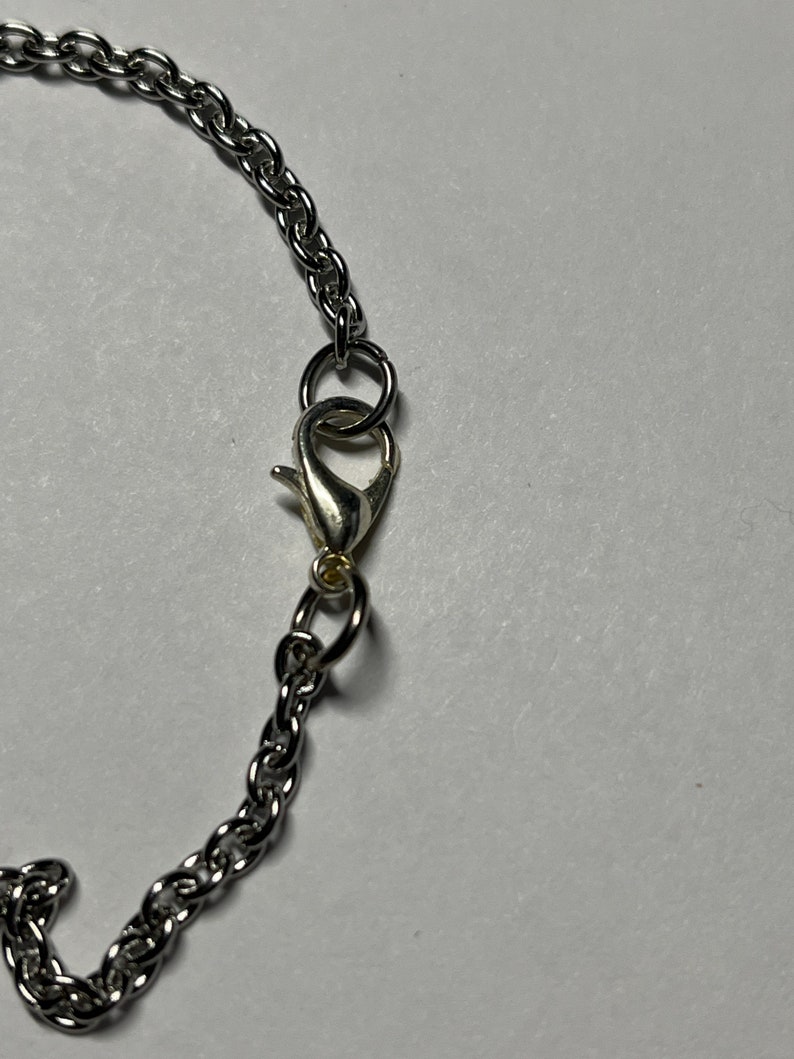 Pu&ograve; includere: Una catena d'argento con chiusura a moschettone.