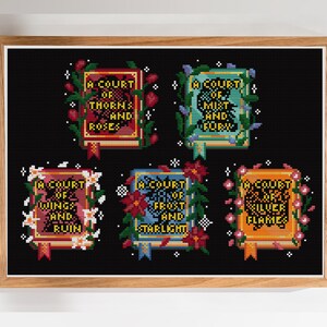 May include: A framed cross-stitch pattern on a black background featuring five rectangular book designs. Each book displays a title: A Court of Thorns and Roses, A Court of Mist and Fury, A Court of Wings and Ruin, A Court of Frost and Starlight, and A Court of Silver Flames, surrounded by colorful floral and botanical motifs.