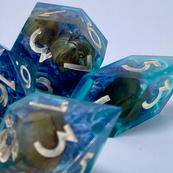 Atlantis- Shells, Sea Shells, Moss, Blue, Handmade Dice, Sharp Edge Dice, DnD, Critical Role, Dice, TTRPG Dice, Dice