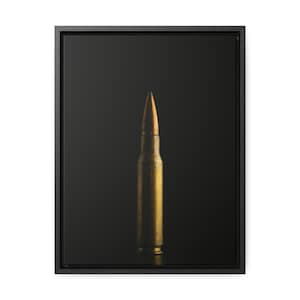 Bullet Canvas Wall Art decor framed