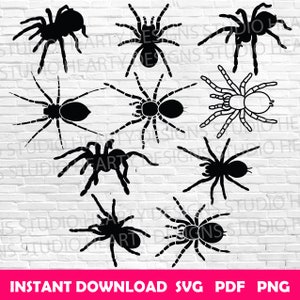 Tarantula SVG Bundle: Spider Cut Files (Digital Download)