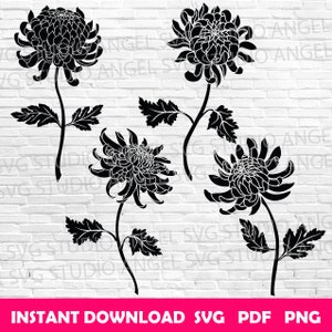 Chrysanthemum svg Chrysanthemum flower svg Chrysanthemum Cricut Chrysanthemum svg cut file Chrysanthemum silhouette Chrysanthemum svg bundle