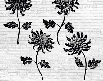 Chrysanthemum Flower SVG Bundle: Floral Cut Files (Digital Download)