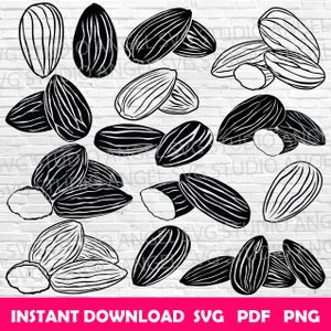 Almond svg Almonds svg Almond Cricut Almond Clipart Almond Vector Almond Silhouette Almond svg bundle Almond svg cut files Almonds bundle