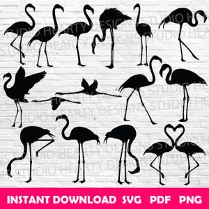 Flamingo SVG Bundle: Cut Files For Silhouette Cricut (Digital Download)