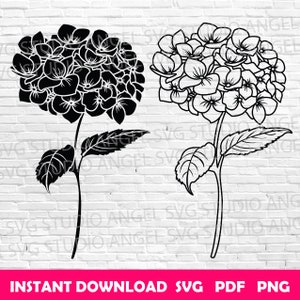 May include: Two black and white silhouette images of hydrangea flowers. The flowers are in bloom and have a stem with leaves.