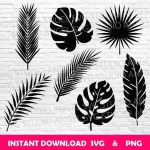 Feuille de palmier Svg Monstera Svg palmier palmier feuilles tropicales svg Monstera Clipart feuille de palmier vecteur feuilles tropicales svg coupe fichiers svg Monstera coupe
