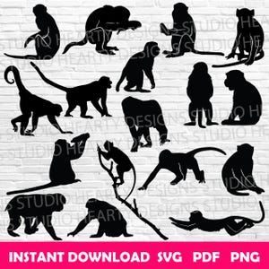 Monkey svg Monkey animal svg Monkey Cricut Monkey svg cut file Monkey silhouette Monkey Vector Monkey svg bundle Monkey Clipart Monkeys svg
