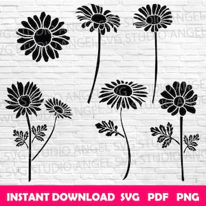 Daisy svg Daisy flower svg Daisy Cricut svg Daisy vector Daisy Clipart Daisy svg bundle Daisy silhouette Daisy svg cut files Daisies svg cut