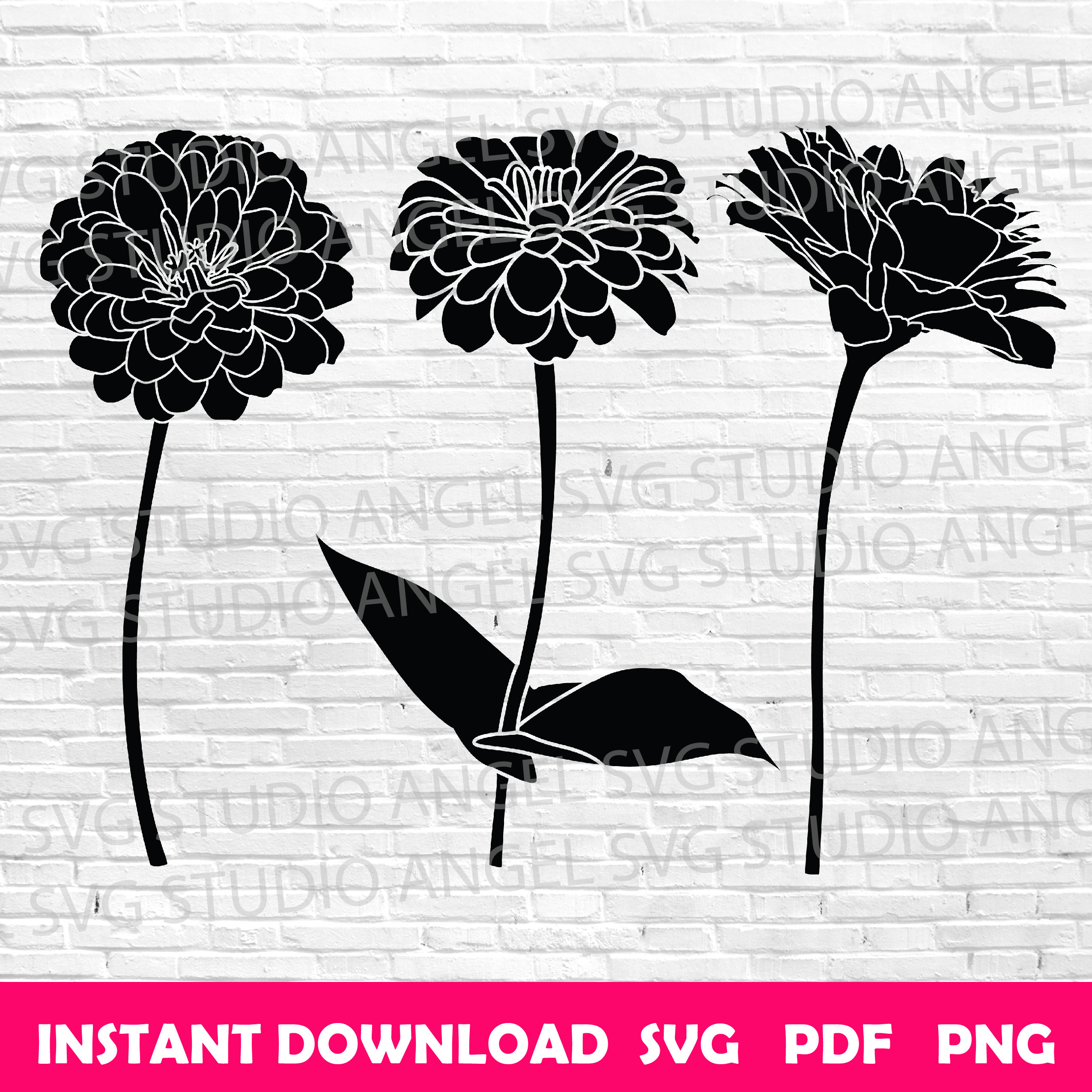 Zinnia Stencil